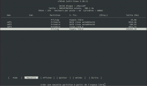 cfdisk_1