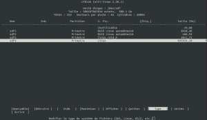 cfdisk_2