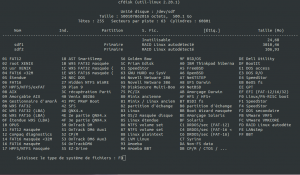 cfdisk_3