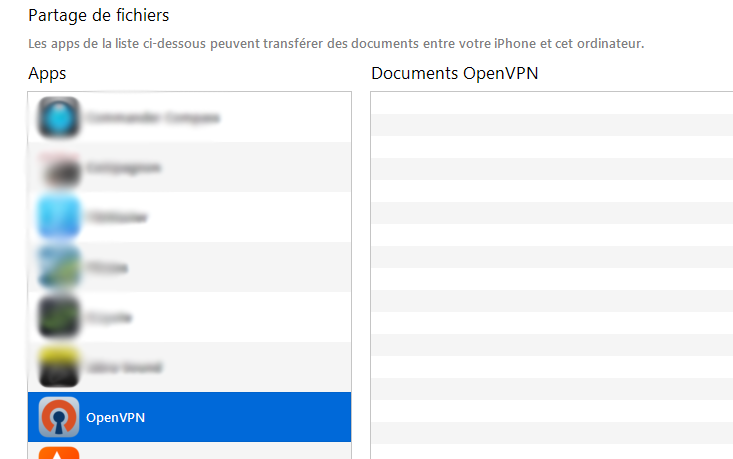 itune_openvpn